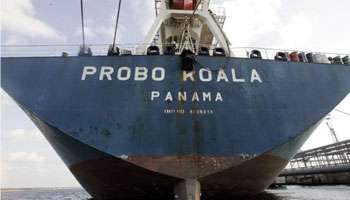 probo_koala_1